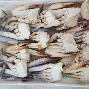 Granchio tagliato e pulito