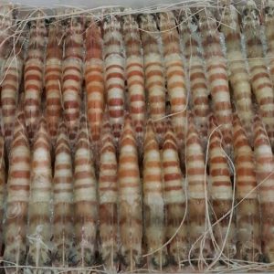 Mazzancolla a terra 